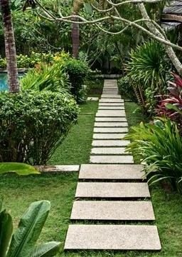 A walking path made of concrete slabs among lush vegetation and tropical tree Stock Photos