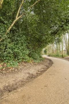 Walking path made of old tar in a park Stock Photos