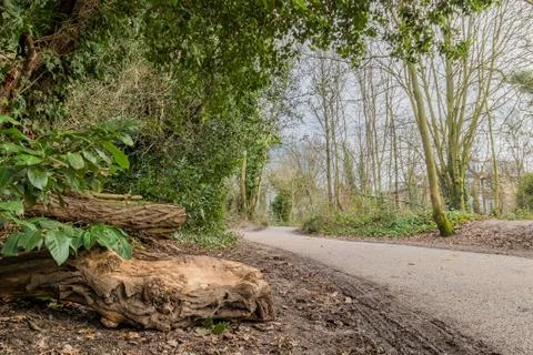 Walking path made of old tar in a park Stock Photos