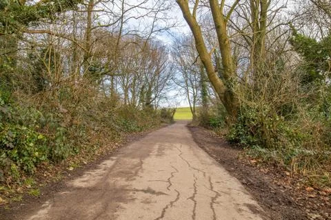 Walking path made of old tar in a park Stock Photos
