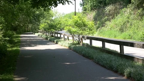 Walking Path Man and Dog Walker 库存影片 75084679