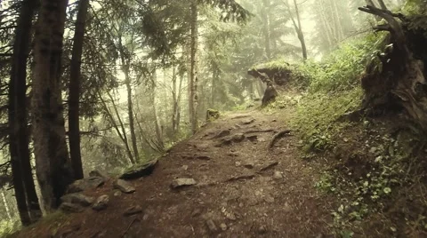 Walking path in the mountain forest in the summer with the trees shadows Stock Footage 53300113