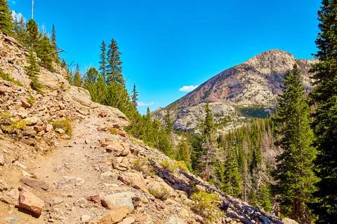 Walking path up mountain with pine trees and blue sky Stock Photos