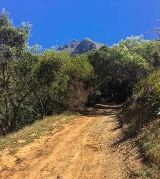 Walking Path to the Mountains Stock Photos