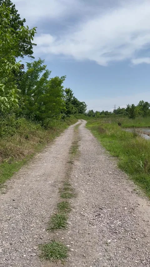 Walking path in nature, 9:16 vertical video, serene countryside trail Vídeos de archivo 336848854