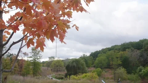 Walking path in nature during Autumn Stock Footage 139370990