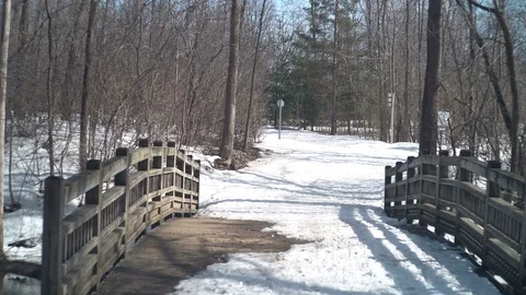 Walking Path in Nature During Spring in Canada Stock Footage 75316481