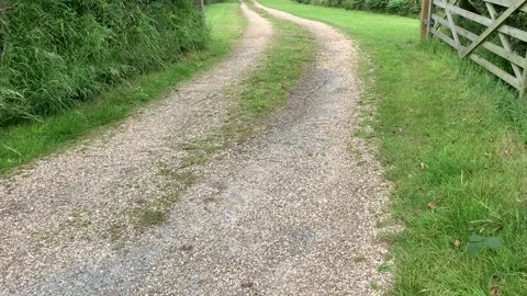 Walking path near beach Video stock 156964744