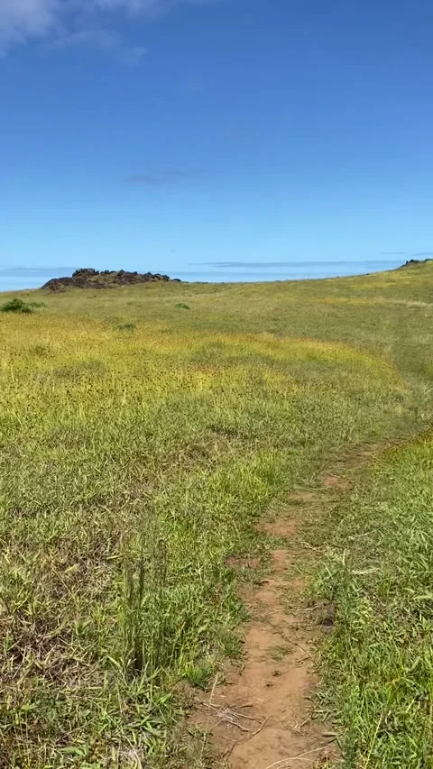 Walking a path near Rano Kau volcano in Easter Island 스톡 동영상 342841497