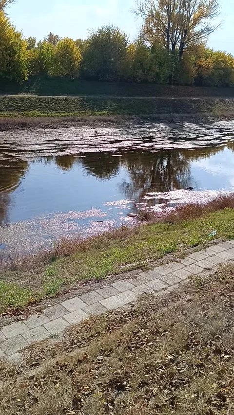 Walking path near river Video stock 290111307