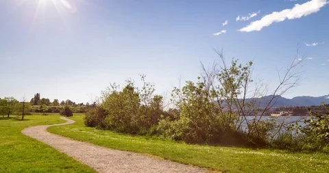 A walking path in a ocean-side city park on a sunny day. Stock Footage 104731559