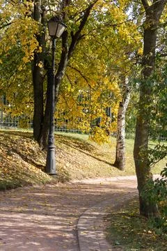 Walking path in the park among the tree trunks next to the metllic fence, str Stock Photos