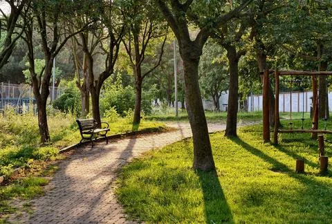 Walking path in a park with benches and trees during the afternoon Foto stock