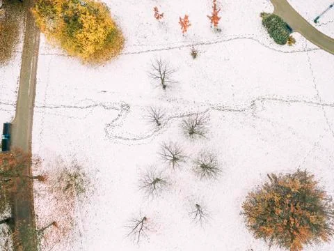 Walking path in a park in early winter. Drone photography Stock Photos