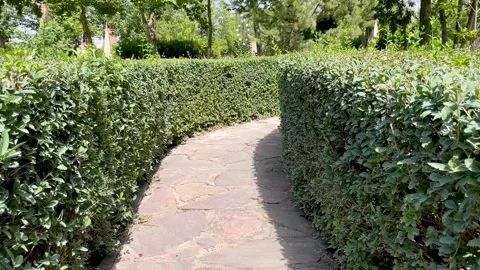 Walking path in park made in shape of maze Stock Footage 259808180
