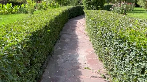 Walking path in park made in shape of maze Stock Footage 262862039