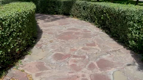 Walking path in park made in shape of maze and surrounded Stock Footage 264160205