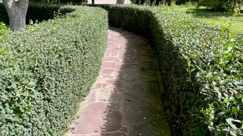 Walking path in park made in shape of maze and surrounded by neatly trimmed Stock Footage 272967699