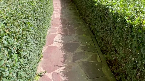 Walking path in park made in shape of maze Stock Footage 298521834