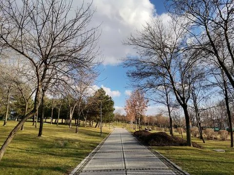 Walking path in the park. Stock Photos