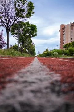 Walking path in the park Foto stock
