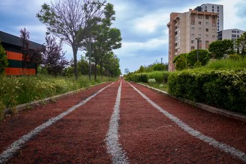 Walking path in the park Foto stock