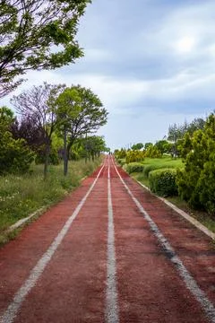 Walking path in the park Foto stock