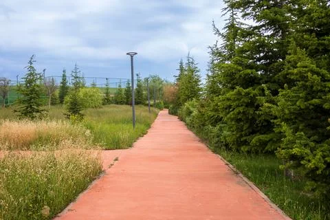 Walking path in the park Foto stock