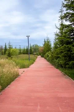 Walking path in the park Foto stock