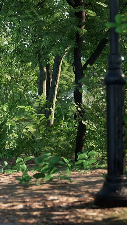 Walking path in a park surrounded by trees and green plants during daytime Stock Footage 338379481