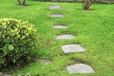 Walking path Stock Photos