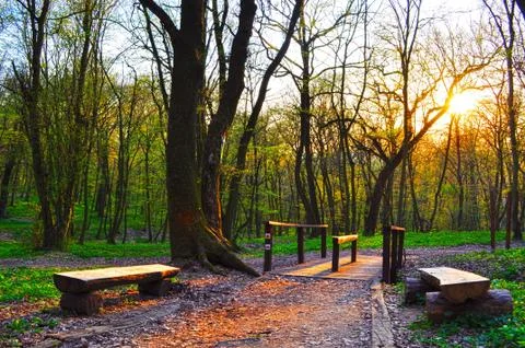 Walking path Stock Photos