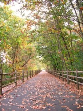 Walking Path Stock Photos