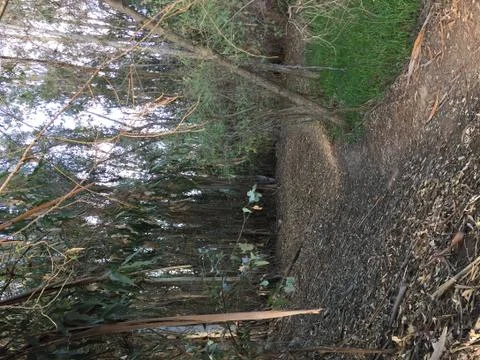 Walking Path Stock Photos