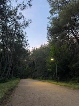 Walking path Stock Photos