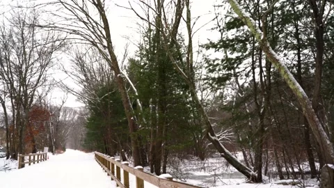 Walking Path &amp; Railing #2 Stock Footage 147779505