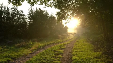 Walking on the path with the rays of sunlight Stock-Footage 309895445
