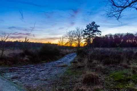 Walking path in the Rucphense heide during sunset, Heather landscape in the f Stock Photos