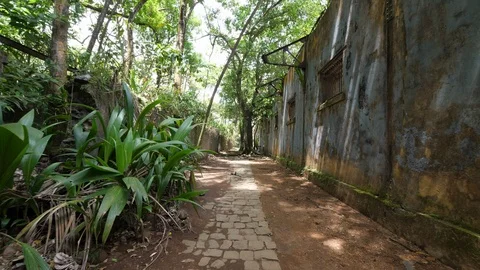 Walking on a path in Saint Joseph Island penal colony French Guiana, solitary co Stock Footage 98207581