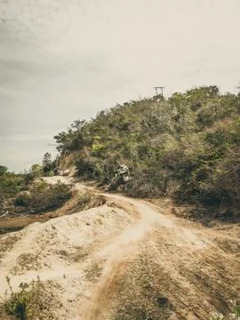Walking path on sand dune, between trees and beach grass, leading to water Stock Photos