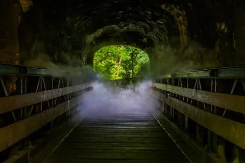 Walking path with scary smoke effect, creepy looking halloween cave, misty de Stock Photos
