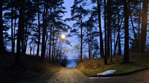 The walking path to the sea between Dunes is illuminated by lantern in the .. Stock Photos