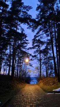 The walking path to the sea between Dunes is illuminated by lantern in the .. Stock Photos