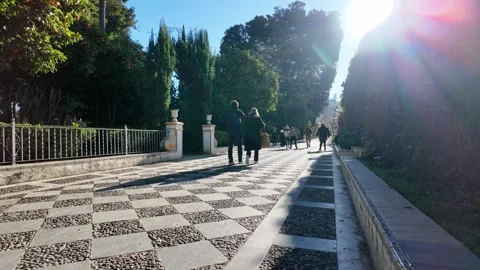 Walking path in Seville during winter Stock Footage 296708776