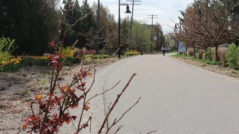 Walking Path in the Spring Stock Footage 75035869