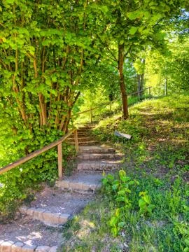 Walking path with stairs climbs through the lush greenery of a forest Stock Photos