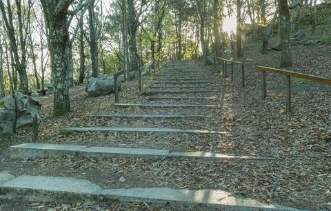 Walking path with stone stairs and leaves in autumn Stock Photos