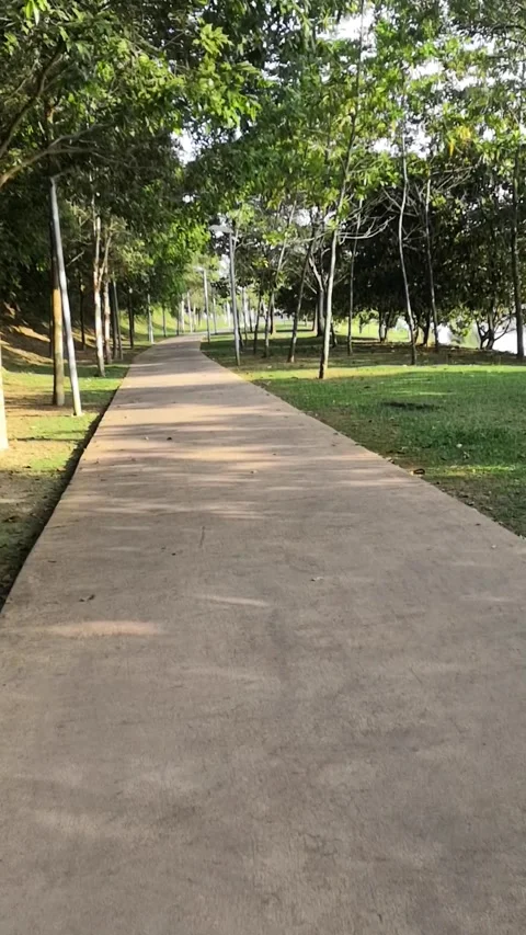 Walking Path Surrounded by Green Trees and Serene Lakes Stock Footage 276322235