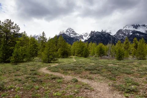 Walking Path surrounded by Trees and Mountains in American Landscape. Stock Photos
