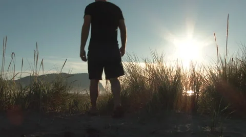 Walking Path Through Dunes To Beautiful Beach Stock Footage 68681436